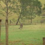 Kangaroo Valley